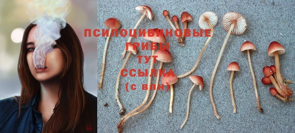 эйфоретик Липки