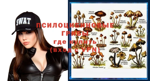 соль ск Лиски