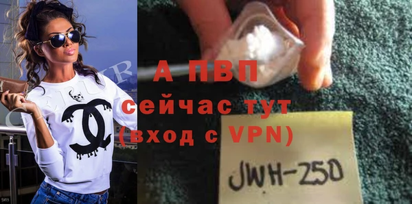 индика Лихославль
