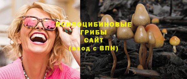 эйфоретик Липки
