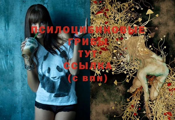 индика Лихославль